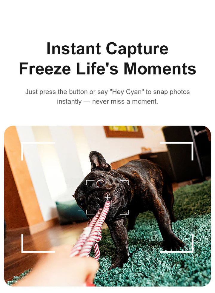 8MP AI Smart Glasses – Hands-Free Recording - Hyper living
